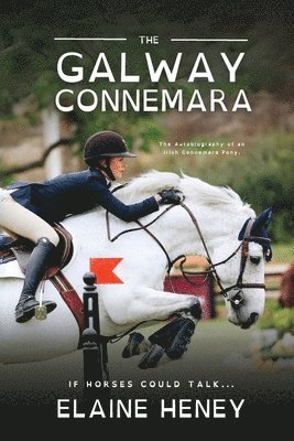 bokomslag The Galway Connemara | The Autobiography of an Irish Connemara Pony - Dyslexia Friendly