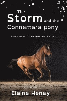 bokomslag The Storm and the Connemara Pony - Dyslexia Friendly