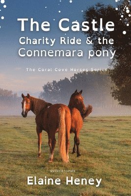 Castle Charity Ride and the Connemara Pony - Dyslexia Friendly 1