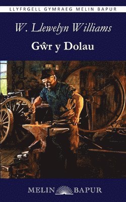 bokomslag G?r y Dolau