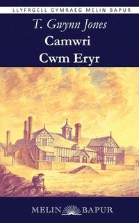 bokomslag Camwri Cwm Eryr