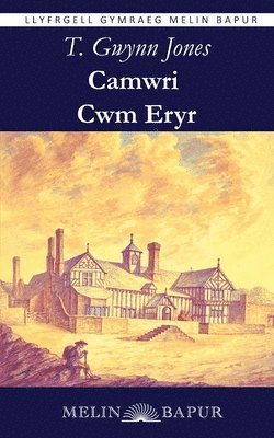 Camwri Cwm Eryr 1