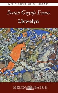 bokomslag Llywelyn