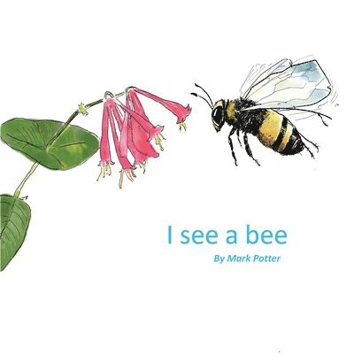 I See A Bee 1