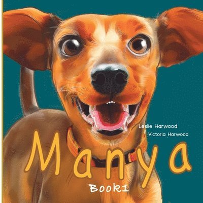 Manya: the slightly different Dachshund