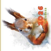 bokomslag Calendar 2026