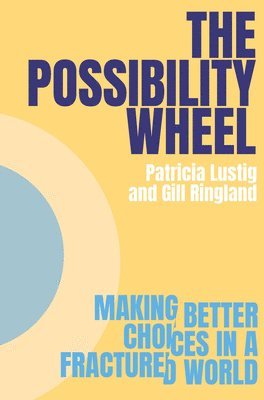 The Possibility Wheel 1