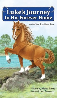 bokomslag Luke's Journey to His Forever Home: Inspired by a True Horse story