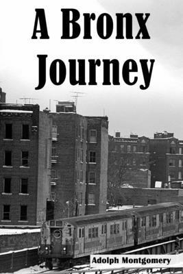 A Bronx Journey 1