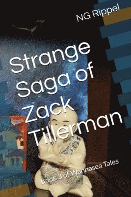 bokomslag Strange Saga of Zack Tillerman