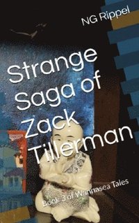 bokomslag Strange Saga of Zack Tillerman