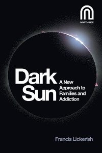 bokomslag Dark Sun