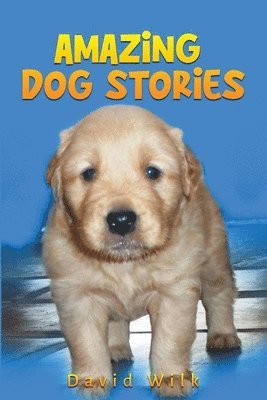 bokomslag Amazing Dog Stories