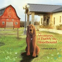 bokomslag The Adventures of Buddy the Bloodhound