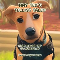 bokomslag Tiny Ted's Telling Tales