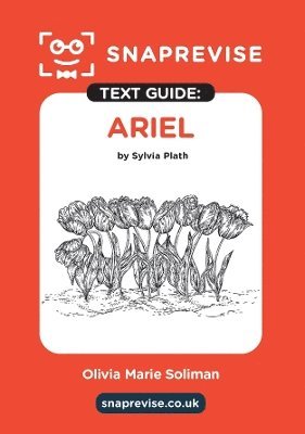 bokomslag SnapRevise Ariel Text Guide for English Literature