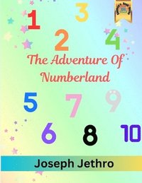 bokomslag The Adventure of Numberland