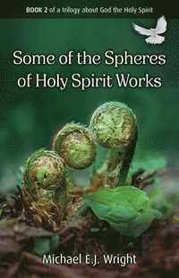 bokomslag Some of the Spheres Holy Spirit Works