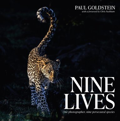Paul Goldstein - Nine Lives, Häftad