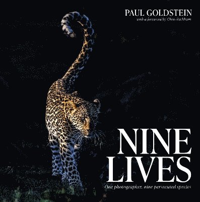 Nine Lives