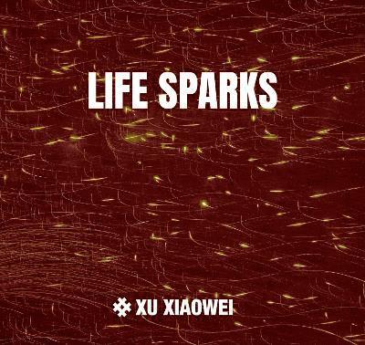 Joshua Gong - Xu Xiaowei, Inbunden