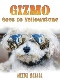 bokomslag Gizmo Goes to Yellowstone