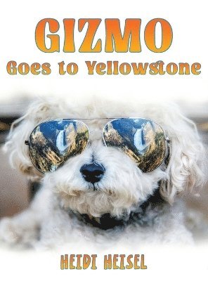 Gizmo Goes to Yellowstone 1