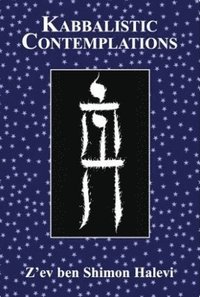 bokomslag Kabbalistic Contemplations