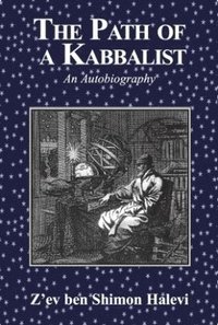 bokomslag The Path of a Kabbalist