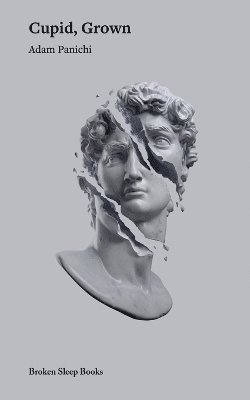 bokomslag Grown Cupid