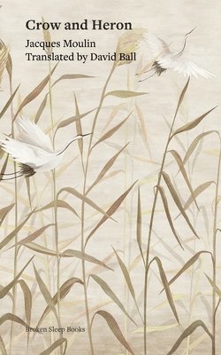 Crow and Heron 1