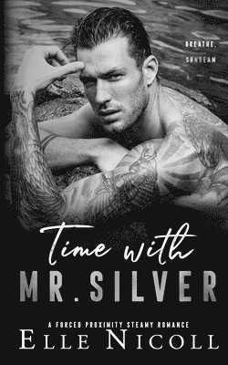 bokomslag Time with Mr. Silver