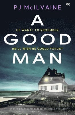 Pj McIlvaine, PJ McIlvaine - Good Man, Häftad