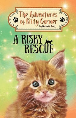 Natalie Knox - Risky Rescue, Häftad