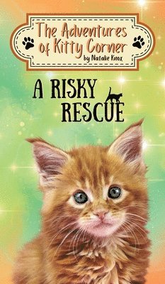 Natalie Knox - Risky Rescue, Inbunden