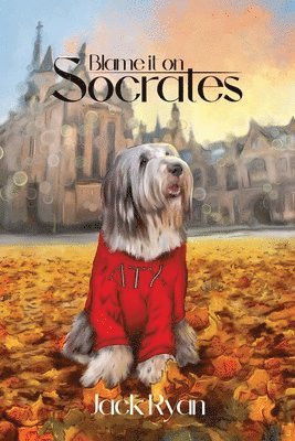 bokomslag Blame it on Socrates