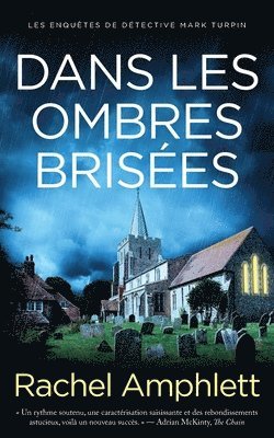 bokomslag Dans les ombres brisées