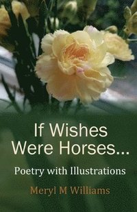 bokomslag If Wishes Were Horses...