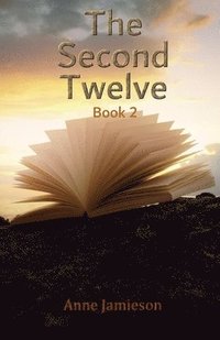 bokomslag Second Twelve