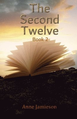 bokomslag Second Twelve