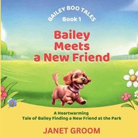 bokomslag Bailey Meets a New Friend