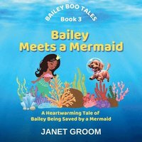 bokomslag Bailey Meets a Mermaid