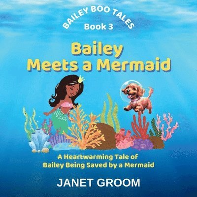 Janet Groom - Bailey Meets a Mermaid, Häftad