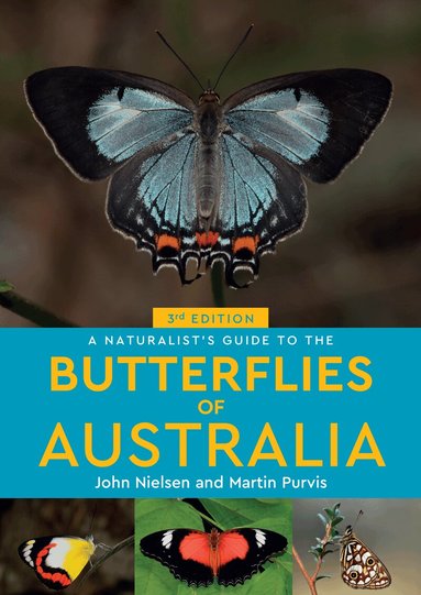 John Nielsen, Martin Purvis - Naturalist's Guide to the Butterflies of Australia, Häftad