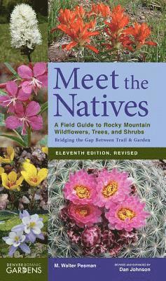 Meet the Natives 1