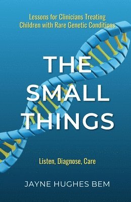 Jayne Hughes - Small Things, Häftad