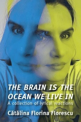 Brain Is the Ocean We Live In