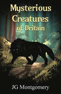 bokomslag Mysterious Creatures of Britain