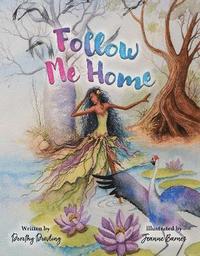 bokomslag Follow Me Home
