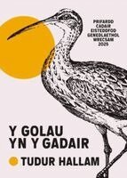 Tudur Hallam - Y Golau yn y Gadair, Häftad